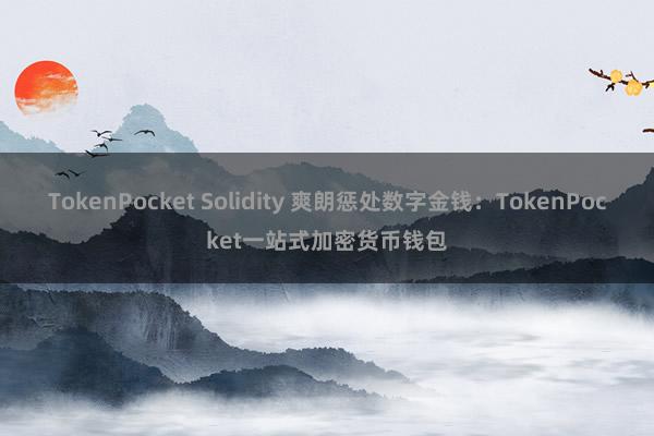   TokenPocket Solidity 爽朗惩处数字金钱：TokenPocket一站式加密货币钱包