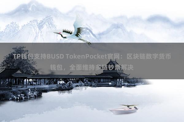 TP钱包支持BUSD TokenPocket官网：区块链数字货币钱包，全面维持多链钞票解决